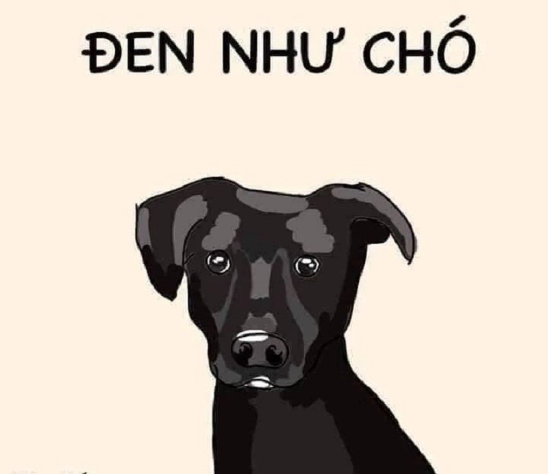 Hình ảnh meme cute tinh tế thích hợp chia sẻ vào cuối ngày