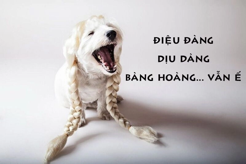 Meme vẽ tay dễ thương mang cảm giác mộc mạc và ấm áp