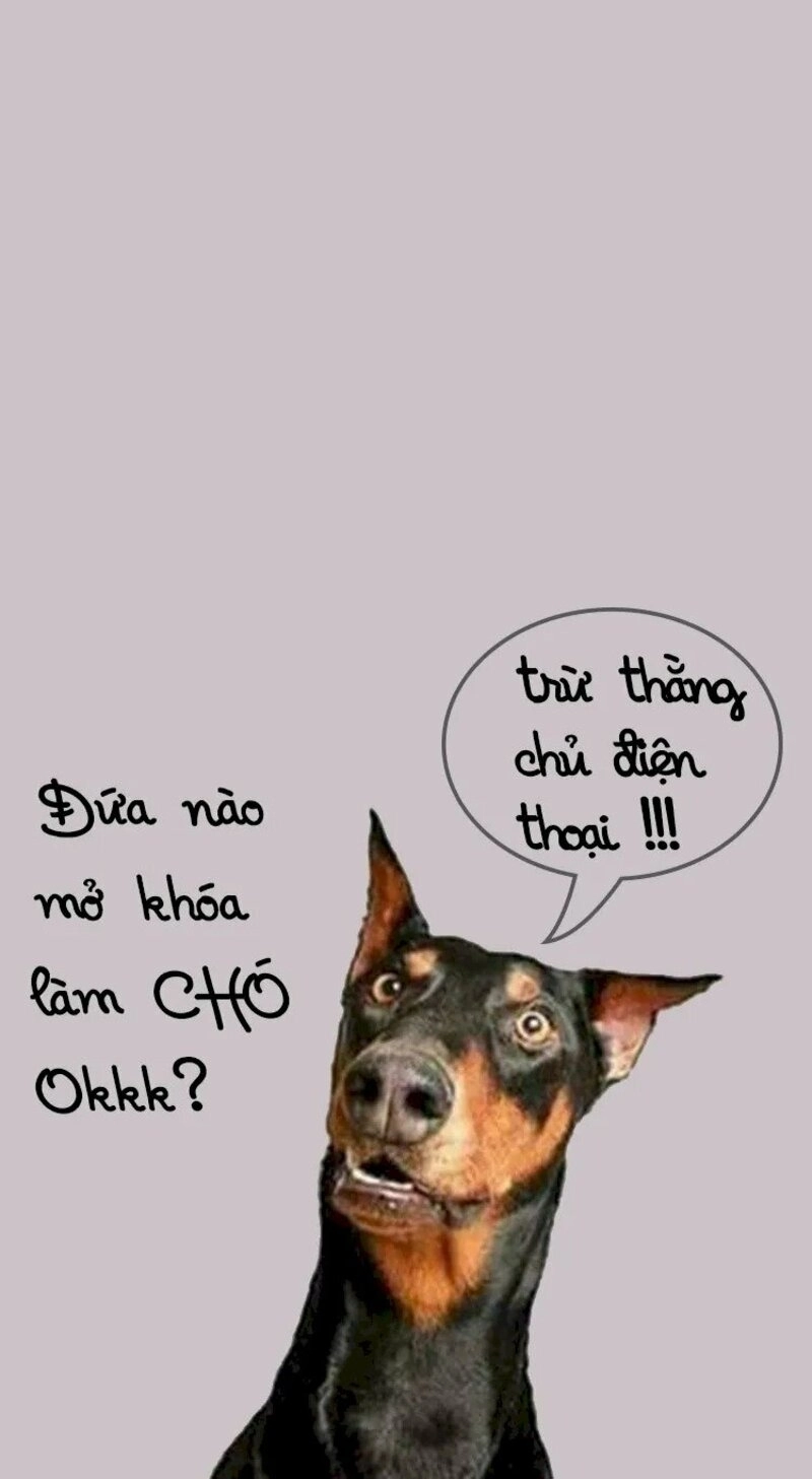 Meme tình cảm dễ thương khiến người xem bật cười nhẹ nhàng