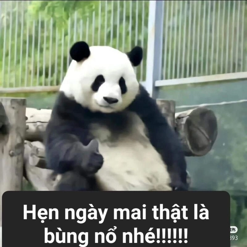 Meme ngây thơ trong sáng khiến ai cũng muốn dừng lại ngắm