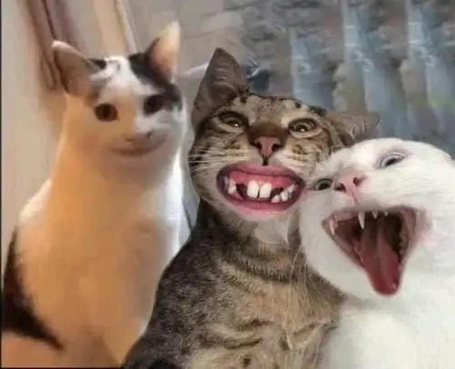 Ảnh meme con vật tạo cơn sốt mạng