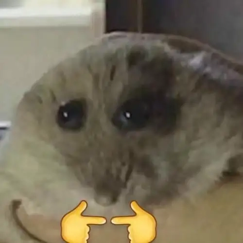 Meme động vật cute cho tim tan chảy