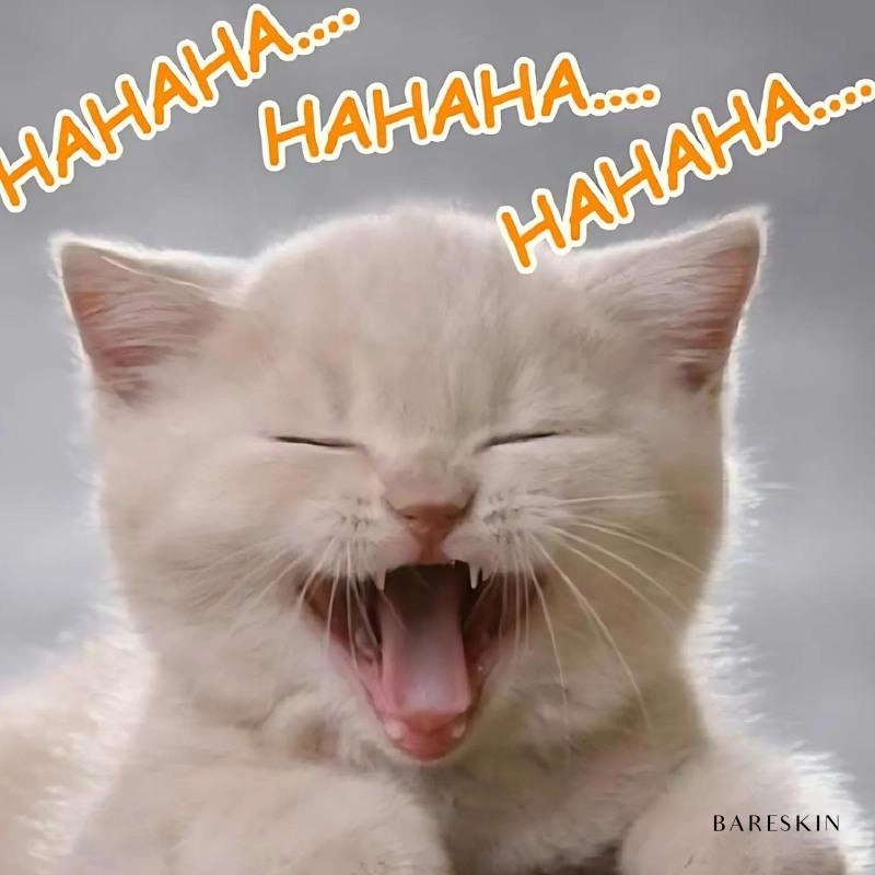 Hình meme hài hước không xem thì quá phí