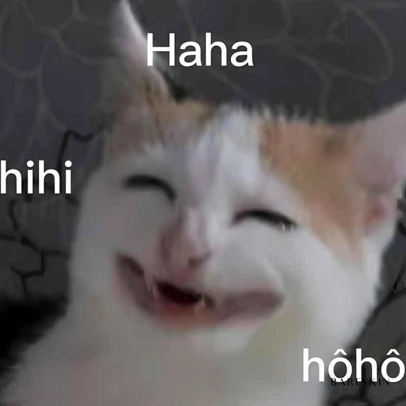 Meme hài cười muốn ngất vì quá ngộ