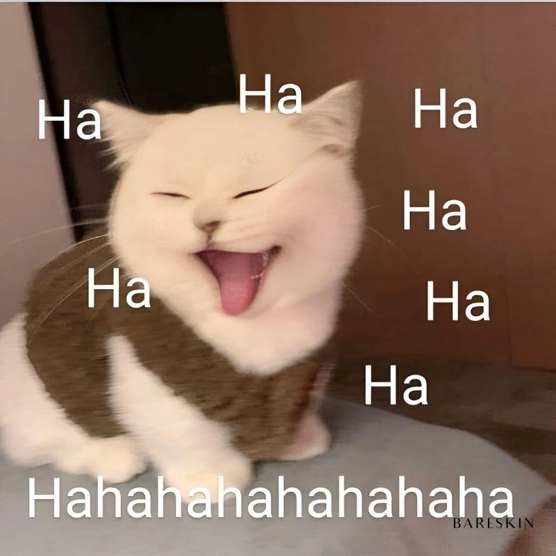 Chế ảnh meme hài chất nhất mạng xã hội