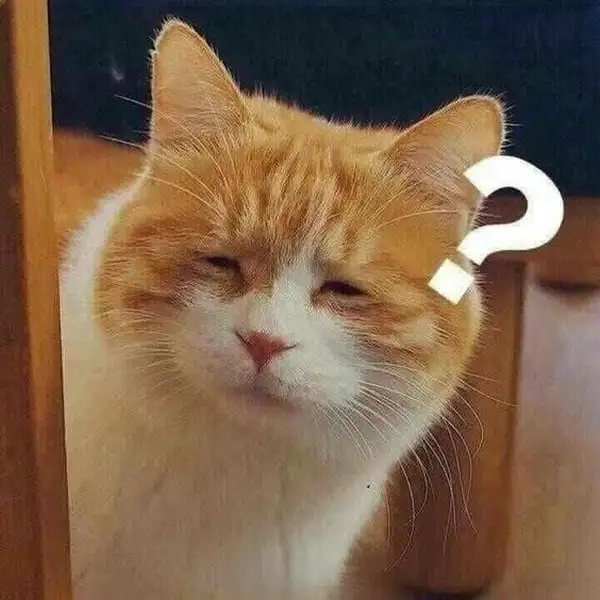 Meme hỏi chấm khi đầu óc không thể xử lý nổi