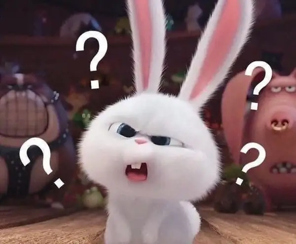 Hình ảnh meme hỏi chấm mang tính chất ngơ ngác