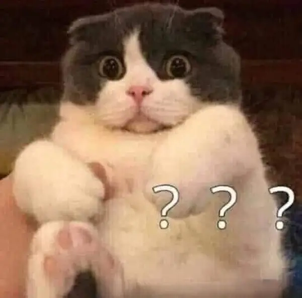 Ảnh meme hỏi chấm được dùng trong phản ứng hài