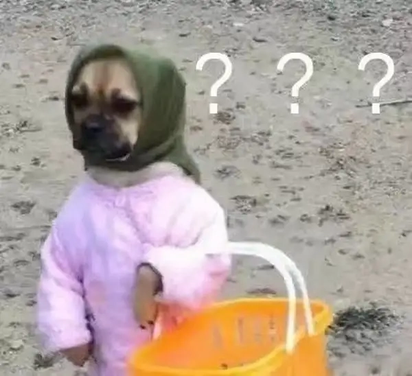 Ảnh meme dấu chấm hỏi quá hợp khi ngơ