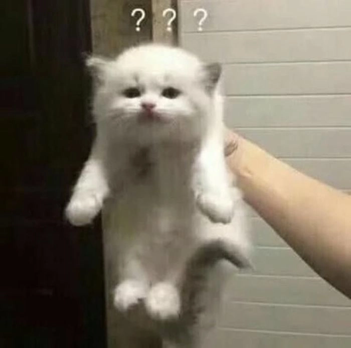 Không hiểu meme được dùng khi bí lời đáp