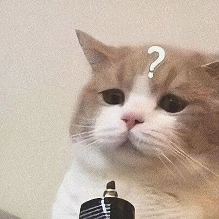 Meme nhăn mặt khó hiểu siêu hợp biểu cảm mặn