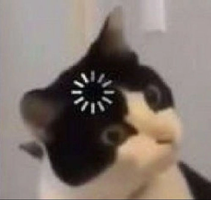 Khó hiểu meme mèo cute khiến dân tình hoang mang