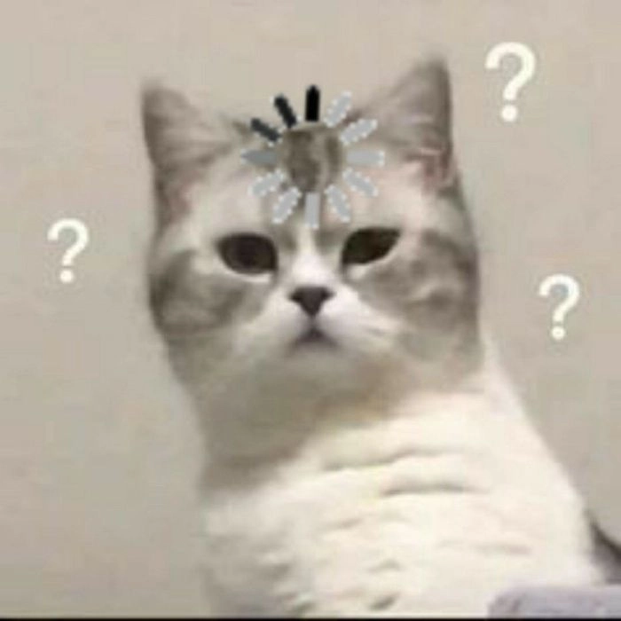 Meme khó hiểu mèo lan truyền trong cộng đồng ảnh
