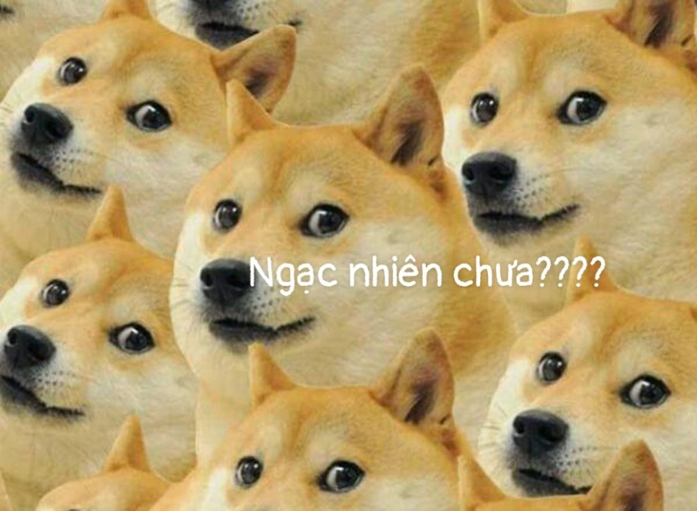 Meme con chó ngạc nhiên lan truyền siêu tốc