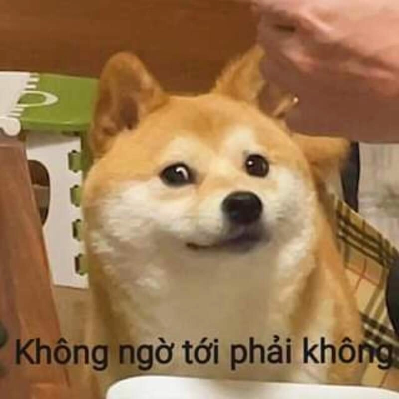 Video meme ngạc nhiên lan truyền cực nhanh