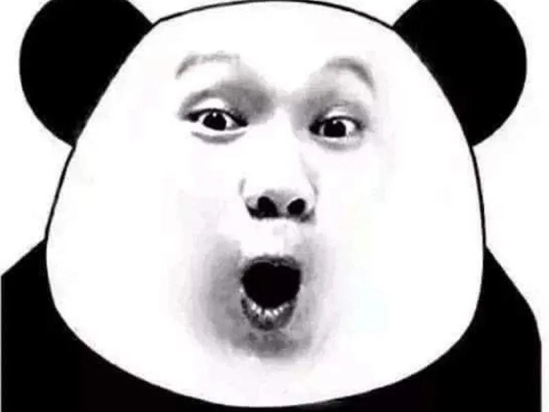 Meme gấu ngạc nhiên dễ thương nhưng đầy cảm xúc