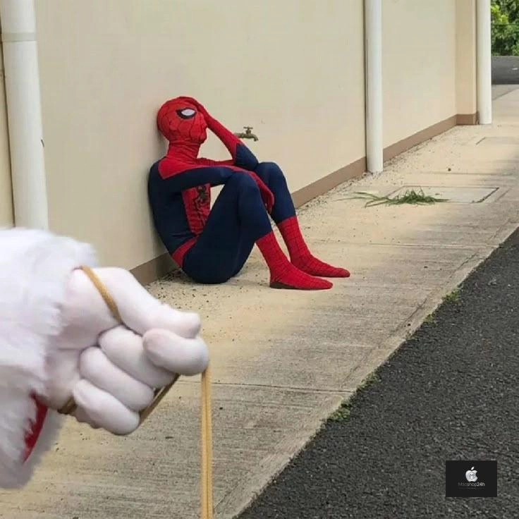 Người nhện meme viral khắp mạng suốt nhiều năm