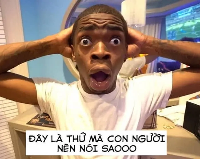 Meme ngạc nhiên ôm đầu được dùng khi drama nổ