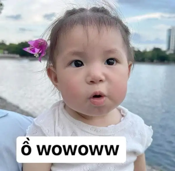 Chỉ một ánh nhìn đủ khiến meme sốc này viral