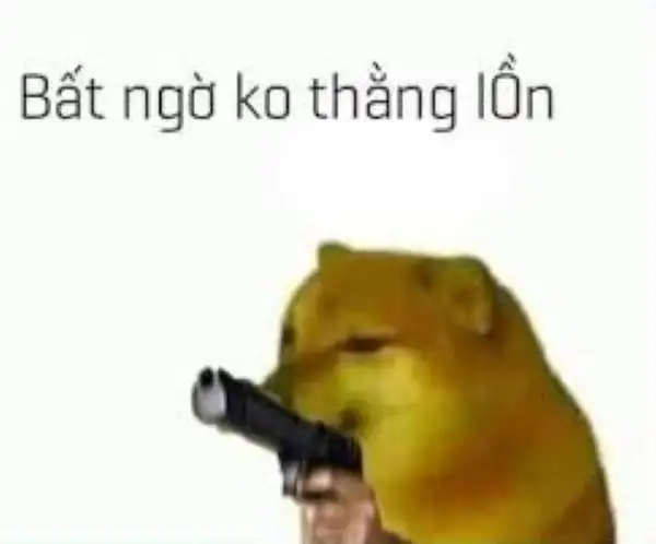 Dù đã chuẩn bị tinh thần nhưng vẫn sốc với meme này