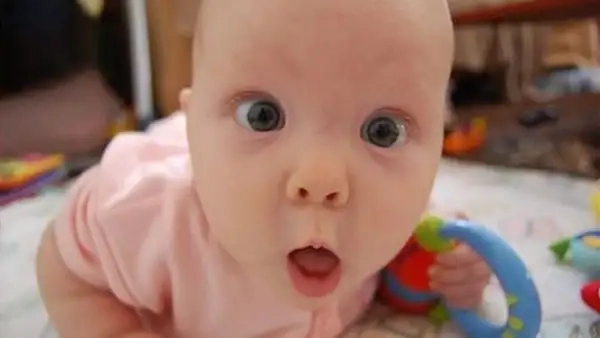 Chưa kịp hiểu chuyện gì đã bị meme sốc đánh gục