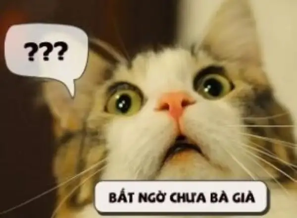 Meme sốc khiến dân mạng liên tục réo gọi vì quá mạnh