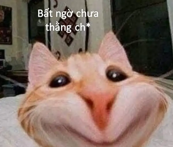 Đỉnh cao của bất ngờ hội tụ trong chiếc meme sốc duy nhất