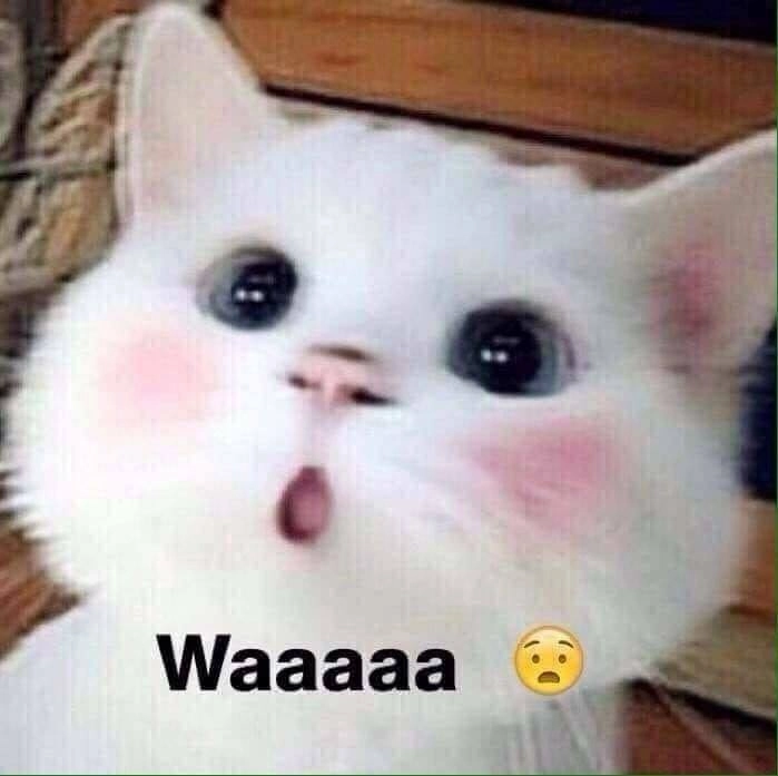 Wow anyway meme chuẩn chất “à thì ra thế”
