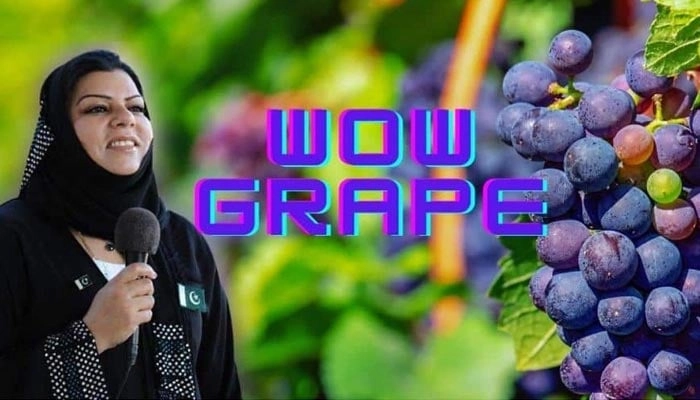 Wow meme India biểu cảm chất riêng đậm đà