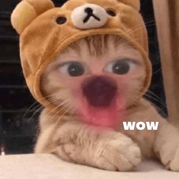 Meme wow audio remix cười rớt điện thoại
