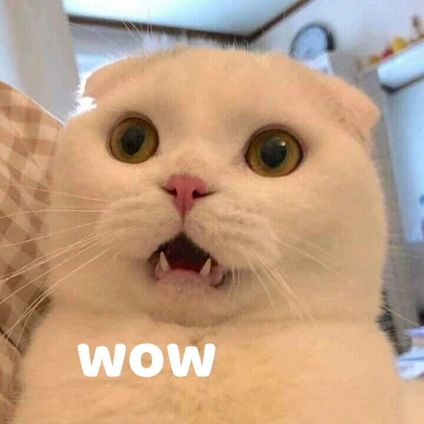 Wow meme gif gây nghiện vì quá ngộ nghĩnh