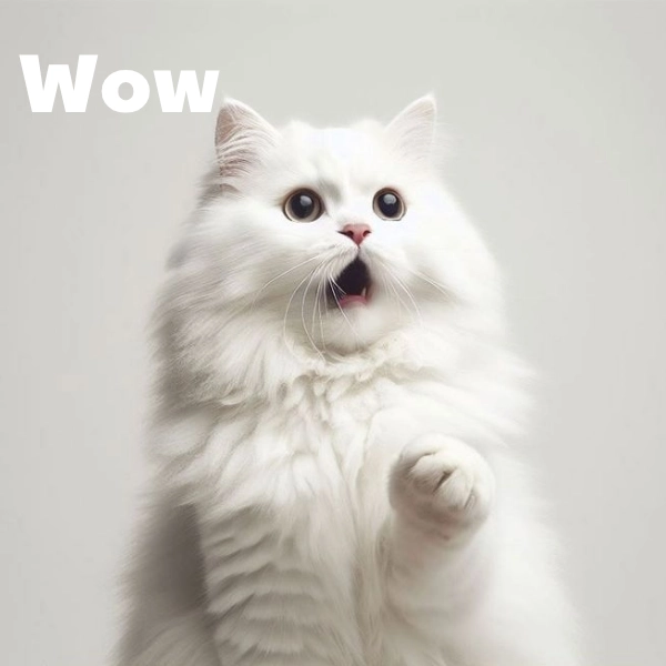 Meme wow effect gây chú ý ngay từ giây đầu