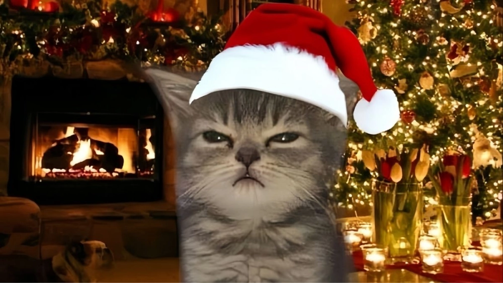 Meme mèo Noel cute gây bão cộng đồng mạng