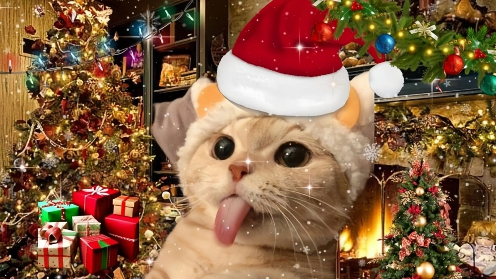 Avatar mèo meme Noel cho dân hệ dễ thương
