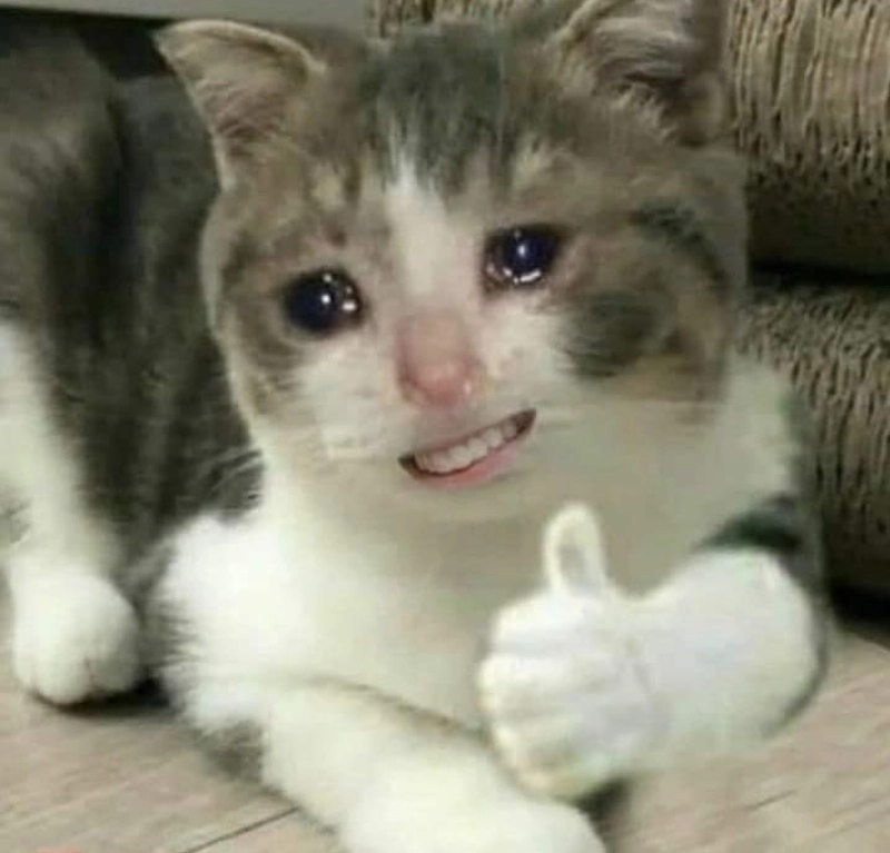 Meme ok em đáp lại lời nhắn với nỗi cam chịu