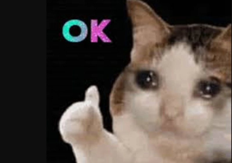 Ok meme dùng khi bạn quá mệt để phản ứng