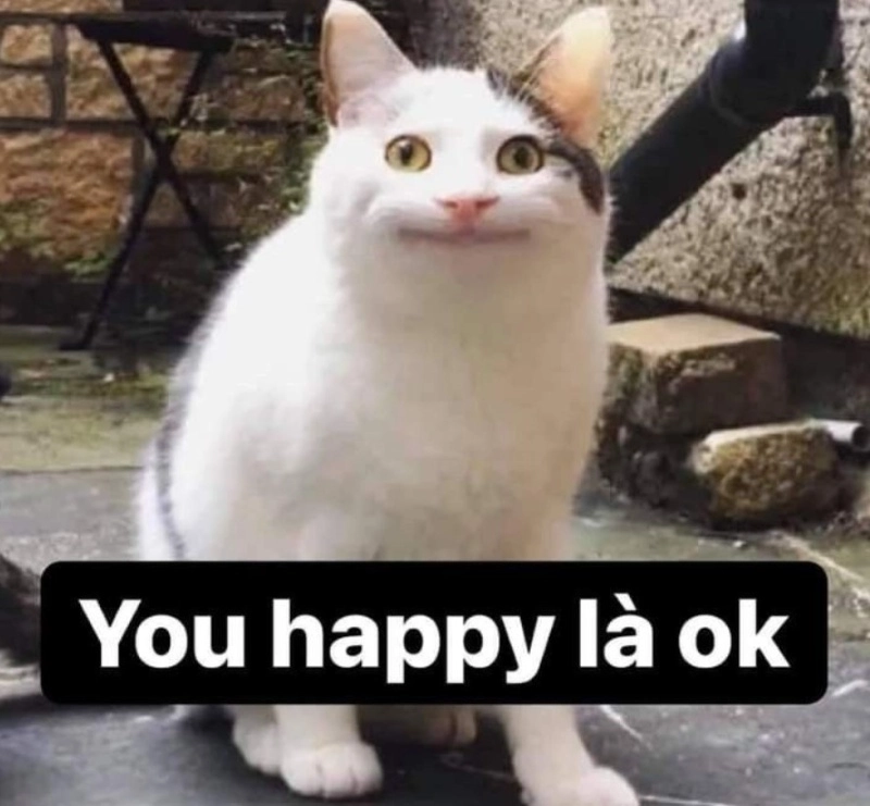 Meme ok cute khiến ai nhìn cũng bật cười