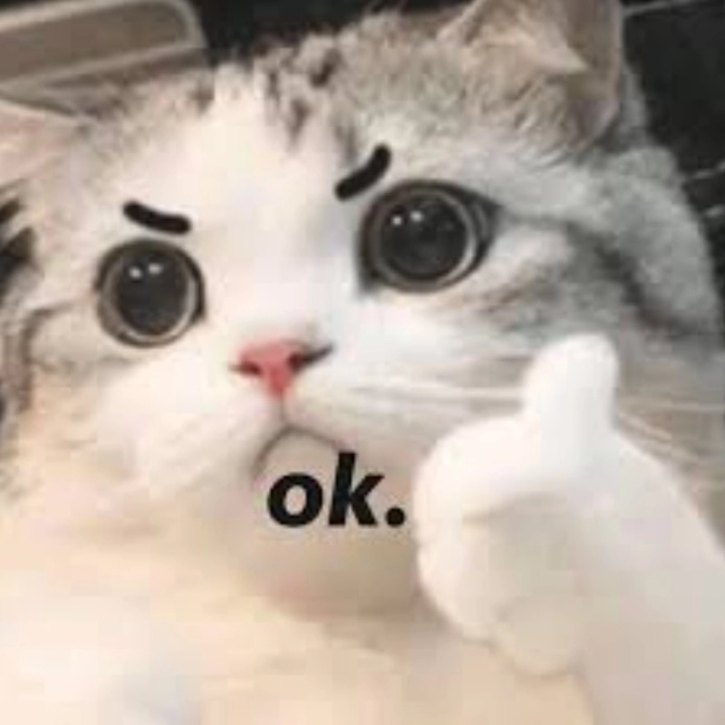 Meme ok bro kiểu bạn bè hiểu mà không cần nói