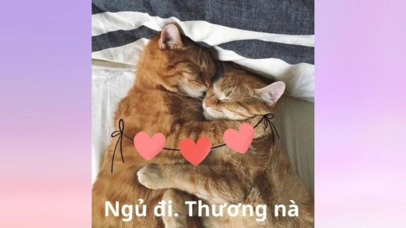 Meme ôm nhau gửi gắm tình cảm không lời