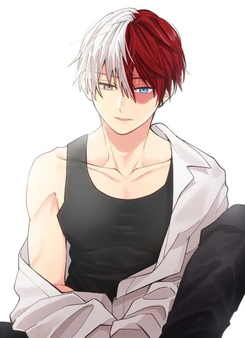 Tuyển chọn Shoto Todoroki fanart đẹp như tranh vẽ