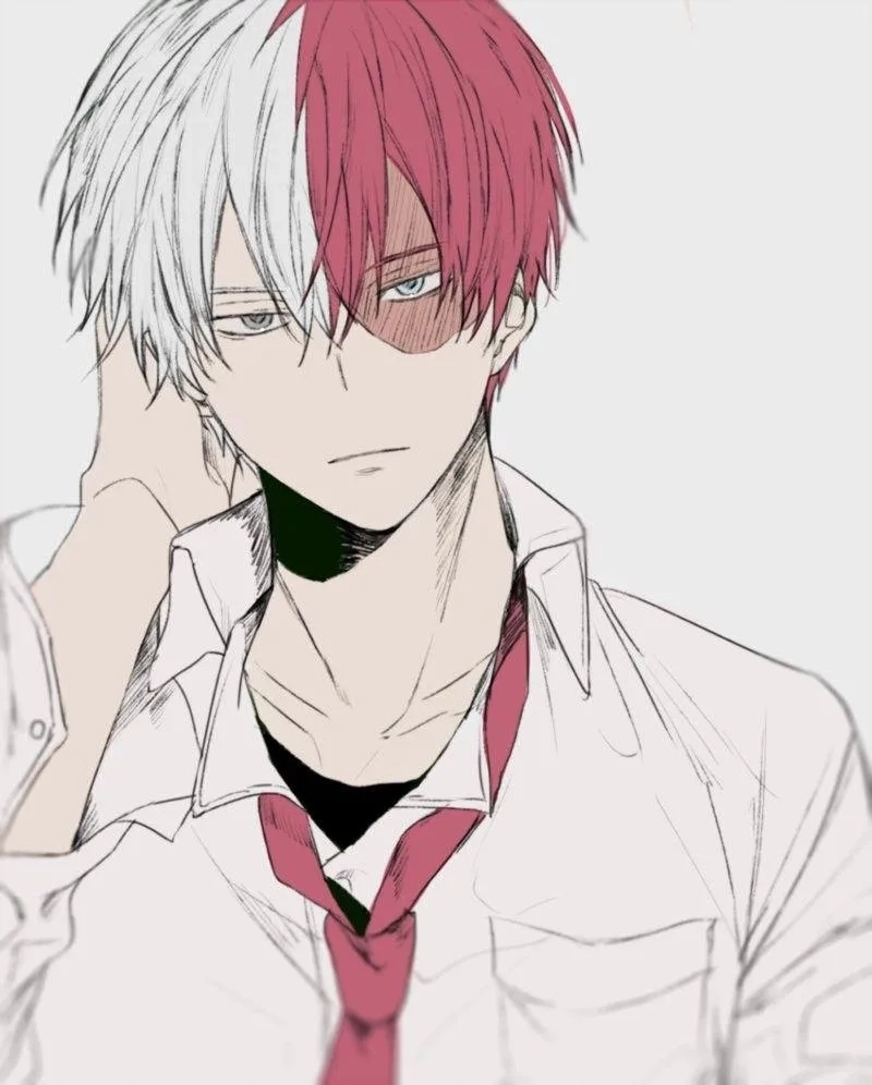 Những khung tranh đáng nhớ từ Todoroki Shoto manga