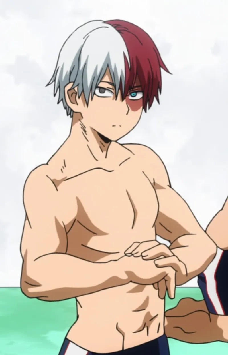 Cùng khám phá My Hero Academia Shoto qua các tập phim hot