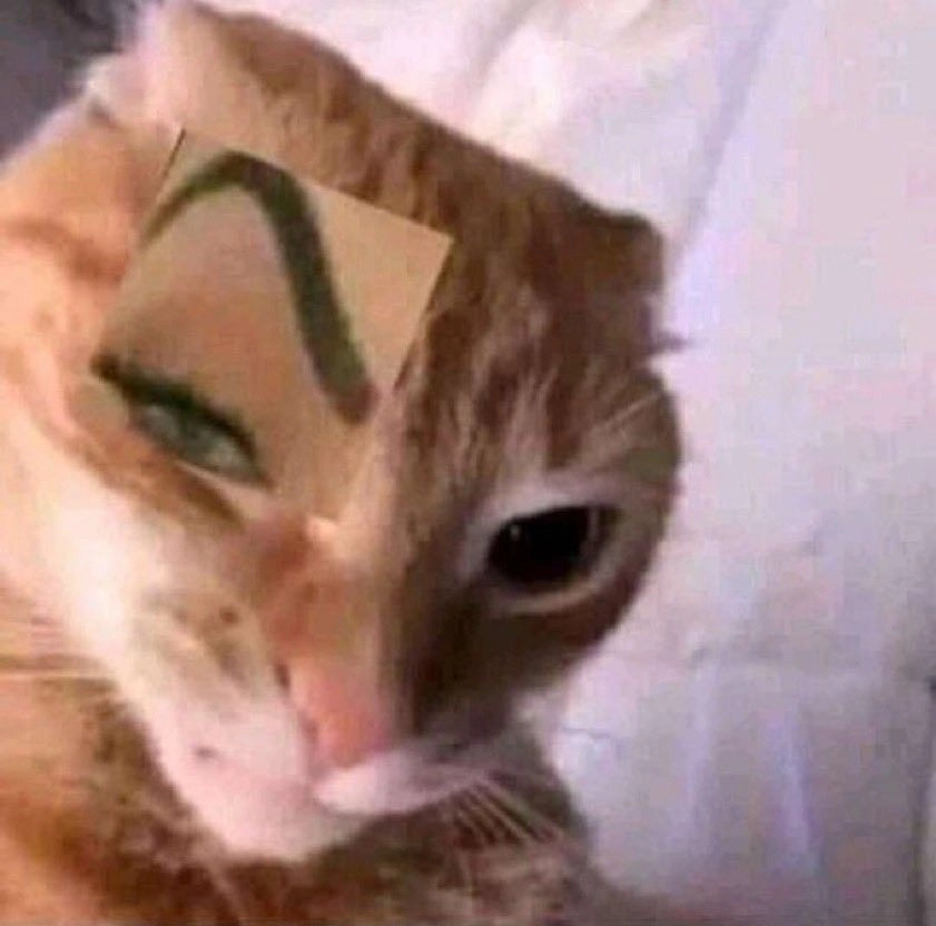 Meme sigma hài hước khi lạnh lùng trở thành trò cười mới