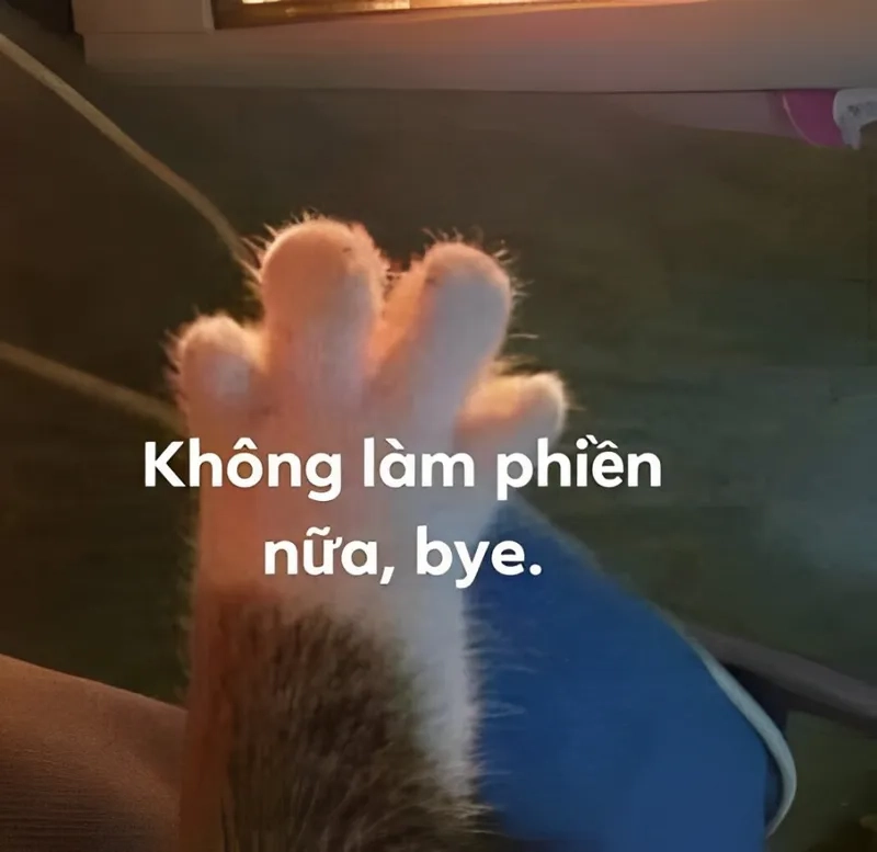 Hình chào tạm biệt cảm xúc bối rối ngập tràn