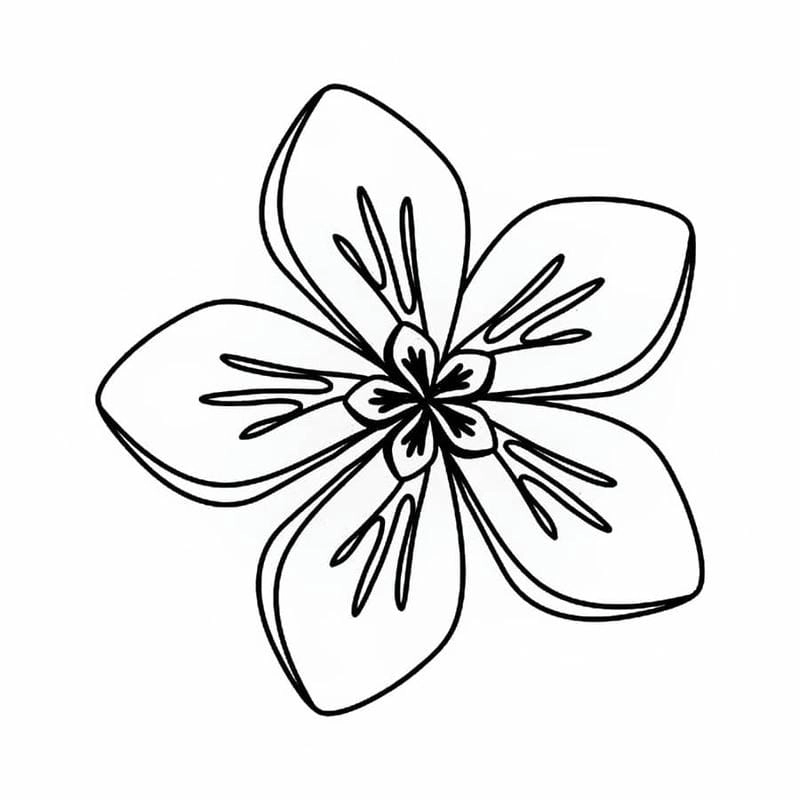 Hình vẽ tranh tô màu bông hoa 5 cánh siêu xinh