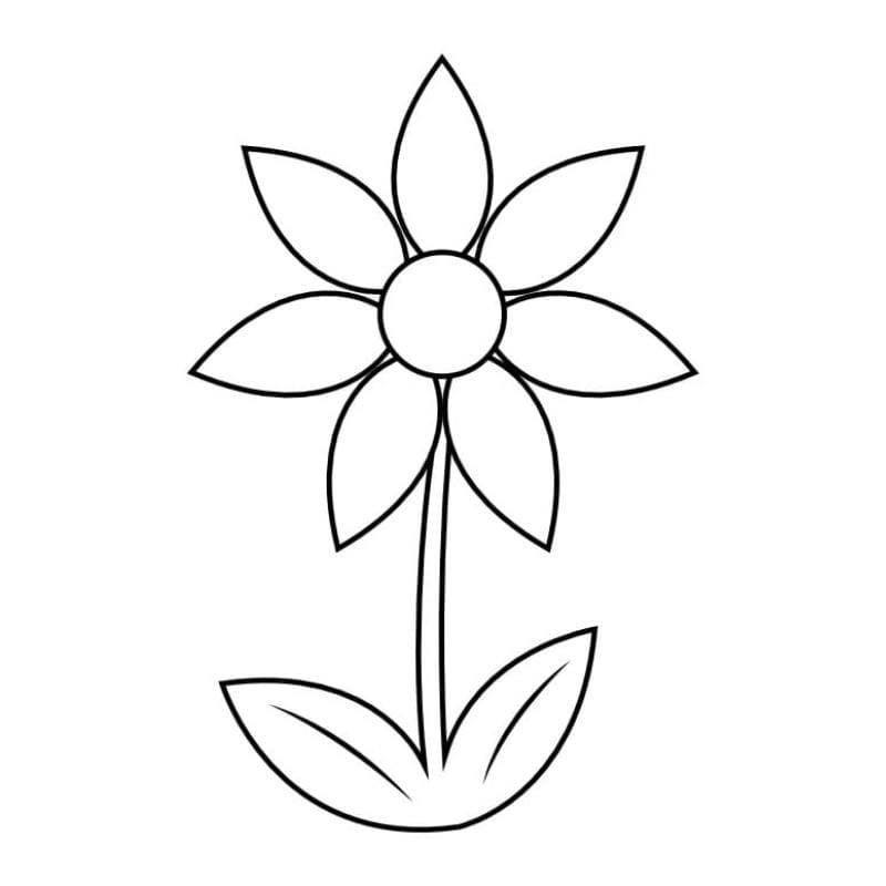 Chậu hoa tranh tô màu bông hoa 6 cánh nổi bật