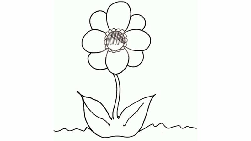 Tranh bông hoa tô màu cho bé luyện tập mỗi ngày