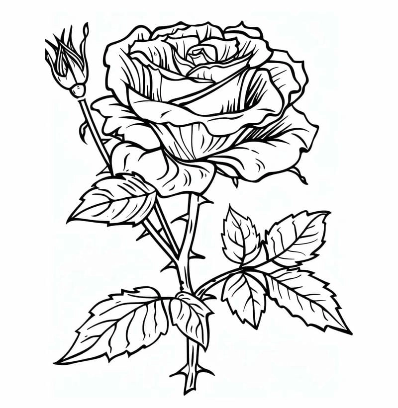 Tranh tô màu bông hoa hồng cho bé tô sáng tạo