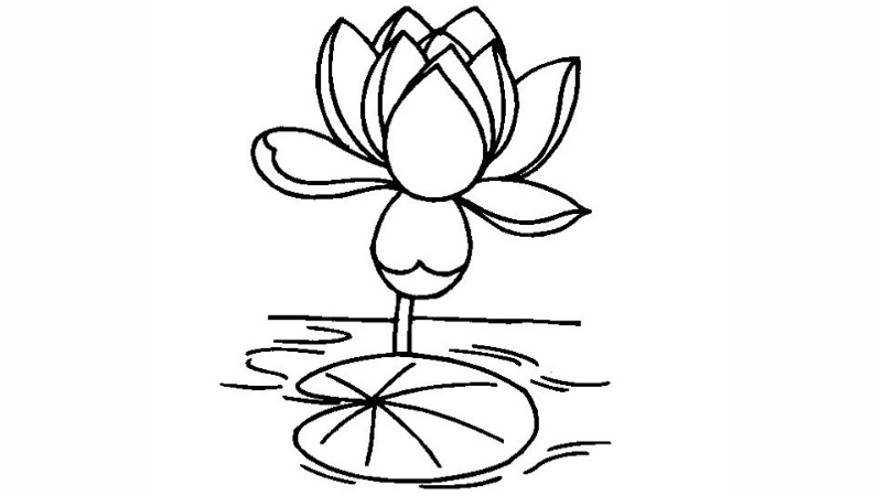 Tranh tô màu bông hoa sen nhẹ nhàng tinh khiết