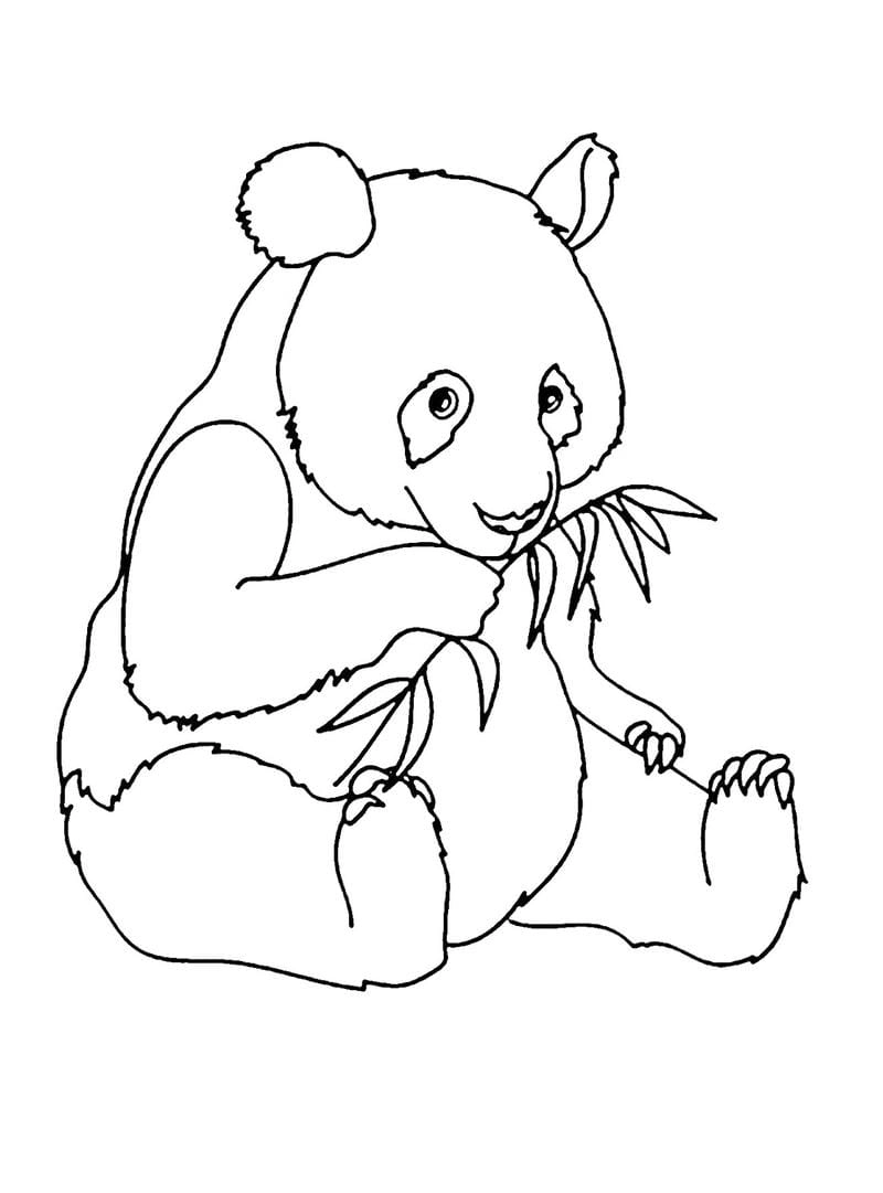 Tranh tô màu con gấu cute bé nào cũng thích